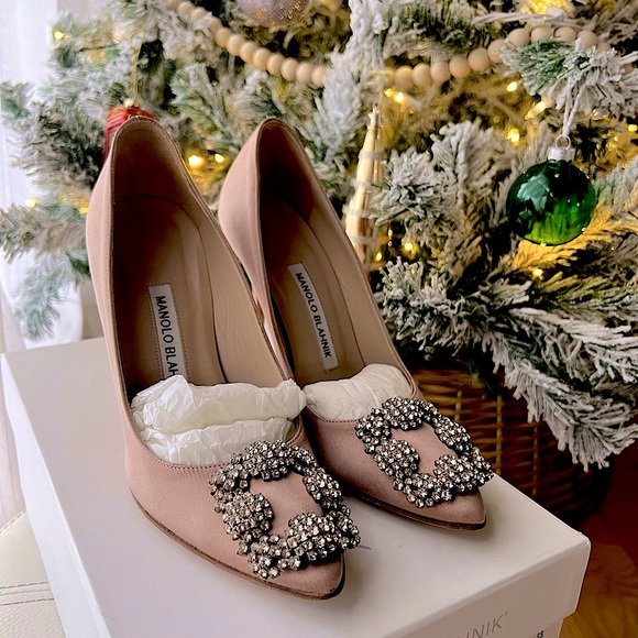 Manolo Blahnik Hangisi Pumps - Picture 4 of 10